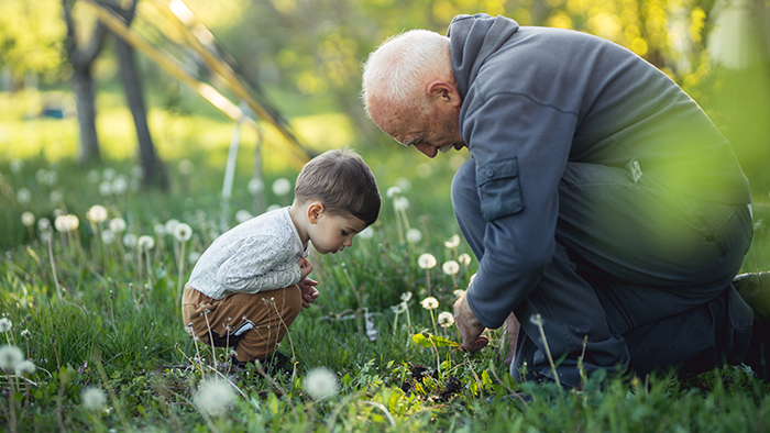 Young boy with grandpa enjoying exploring the grass