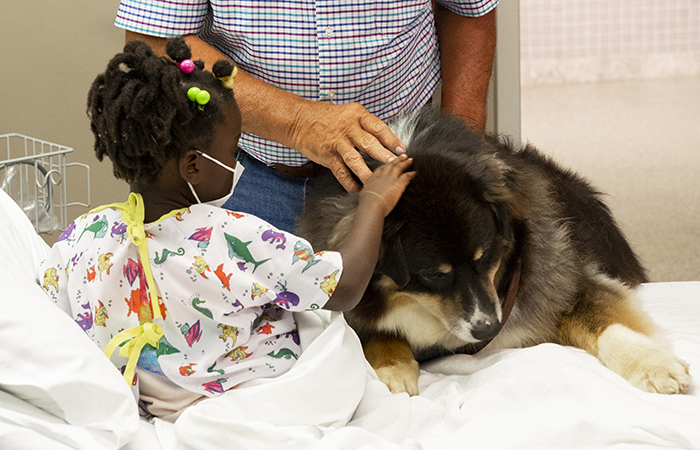 Young girl patient petting a sweet dog during pet therapy