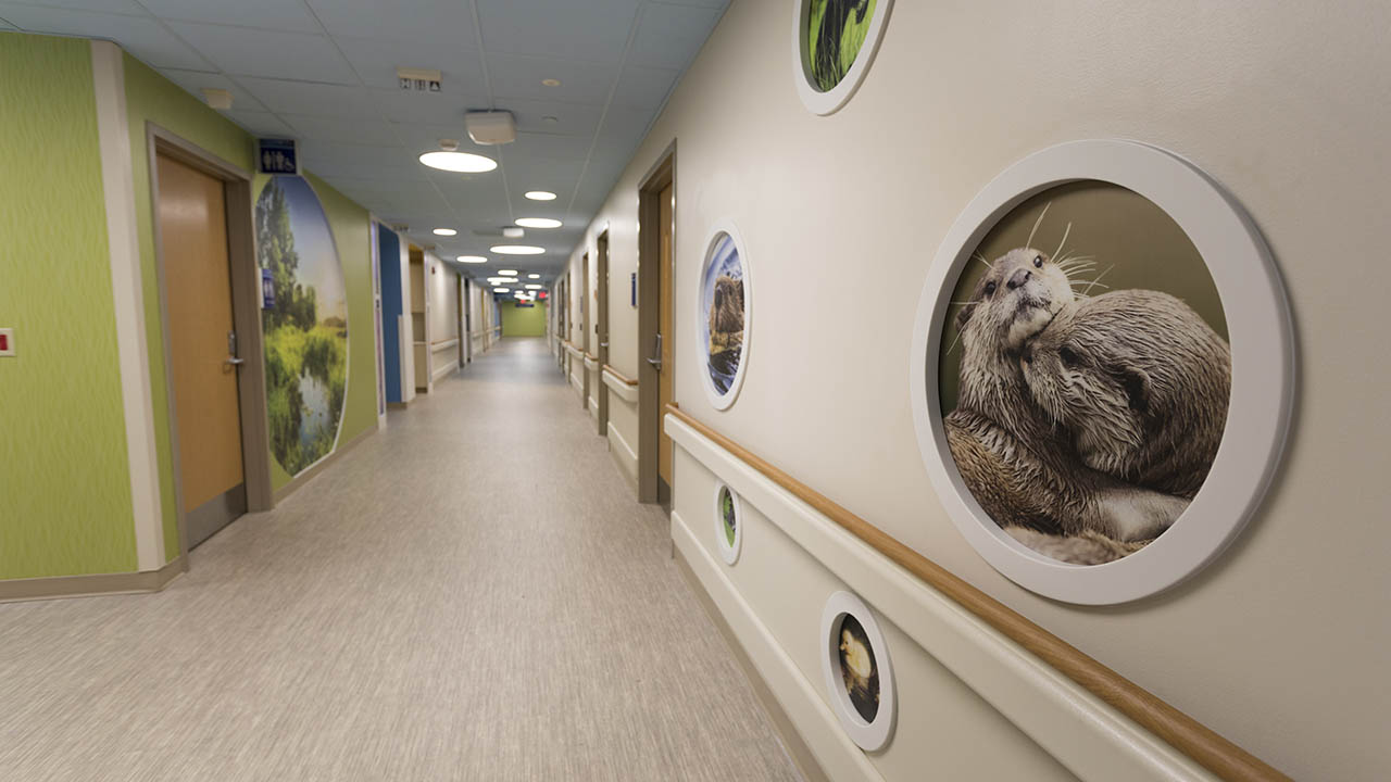 Hallway of the 10th floor of St. Vincent Children's Hospital with animals in circular frames on the wall