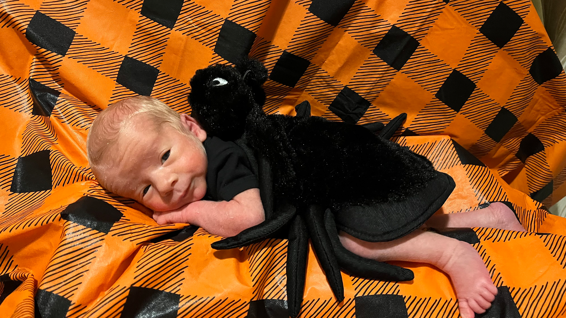 picture of baby dressed in a spider costume