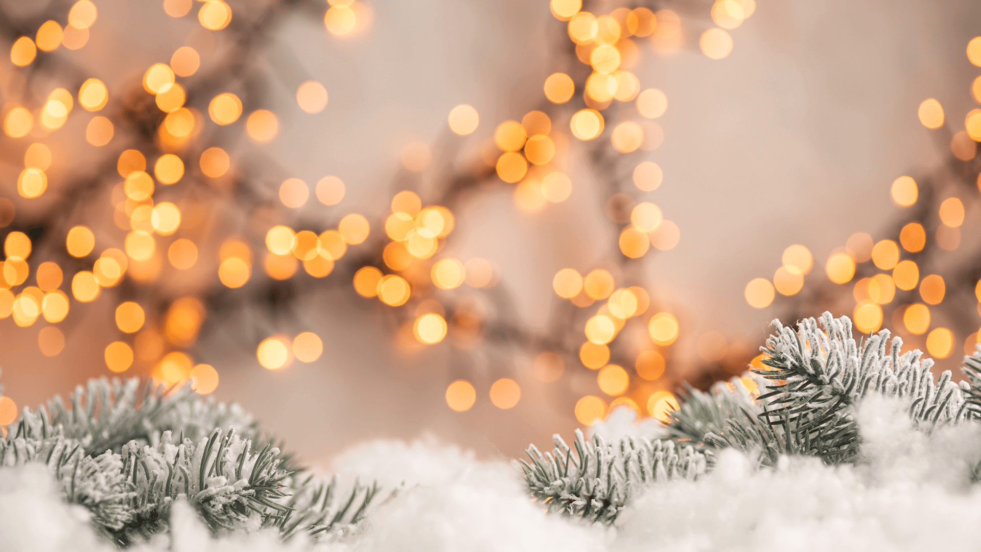 wintery pine tree with snow and lights on it