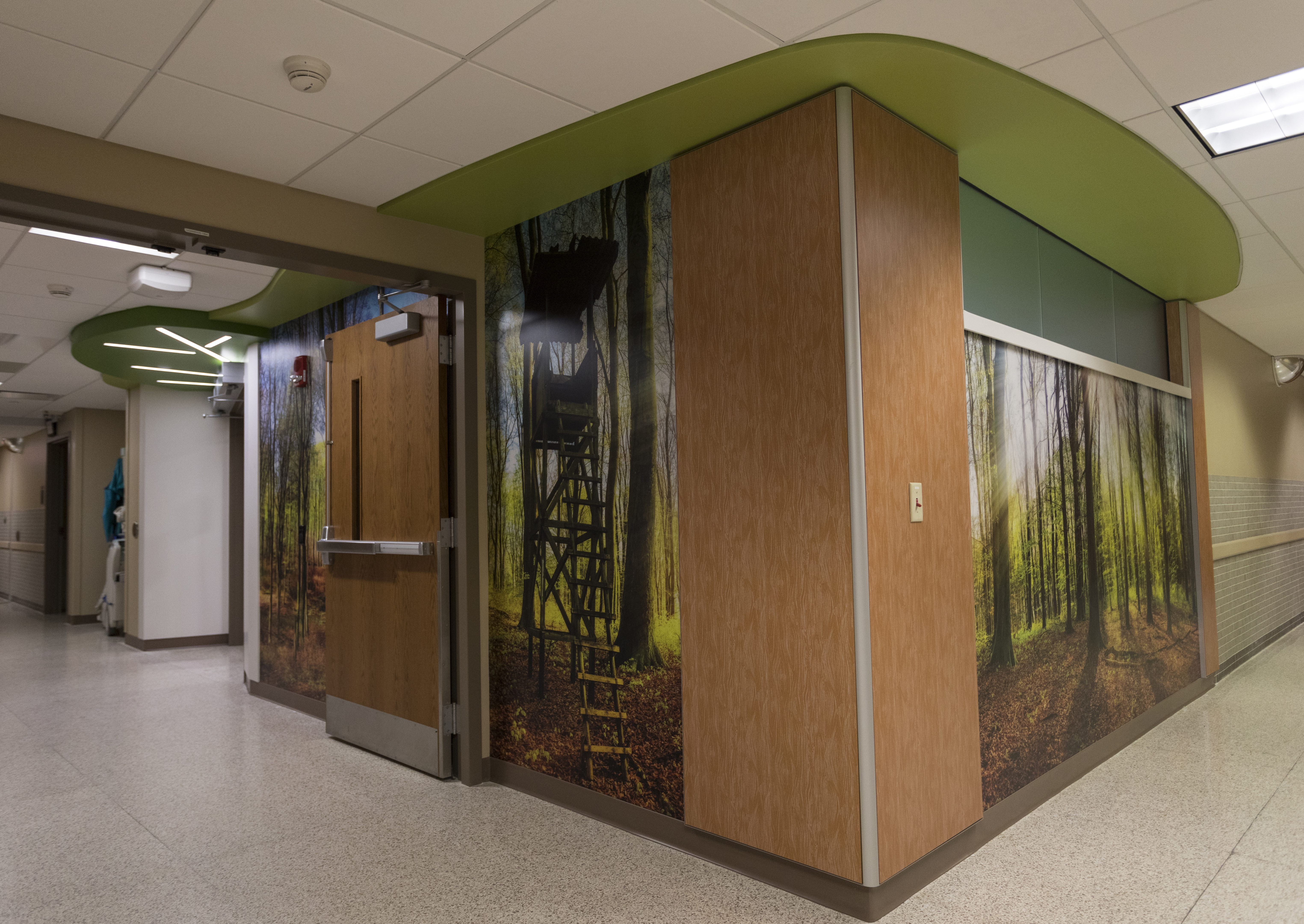 St. Vincent Children's Hospital hallway with trees on the walls