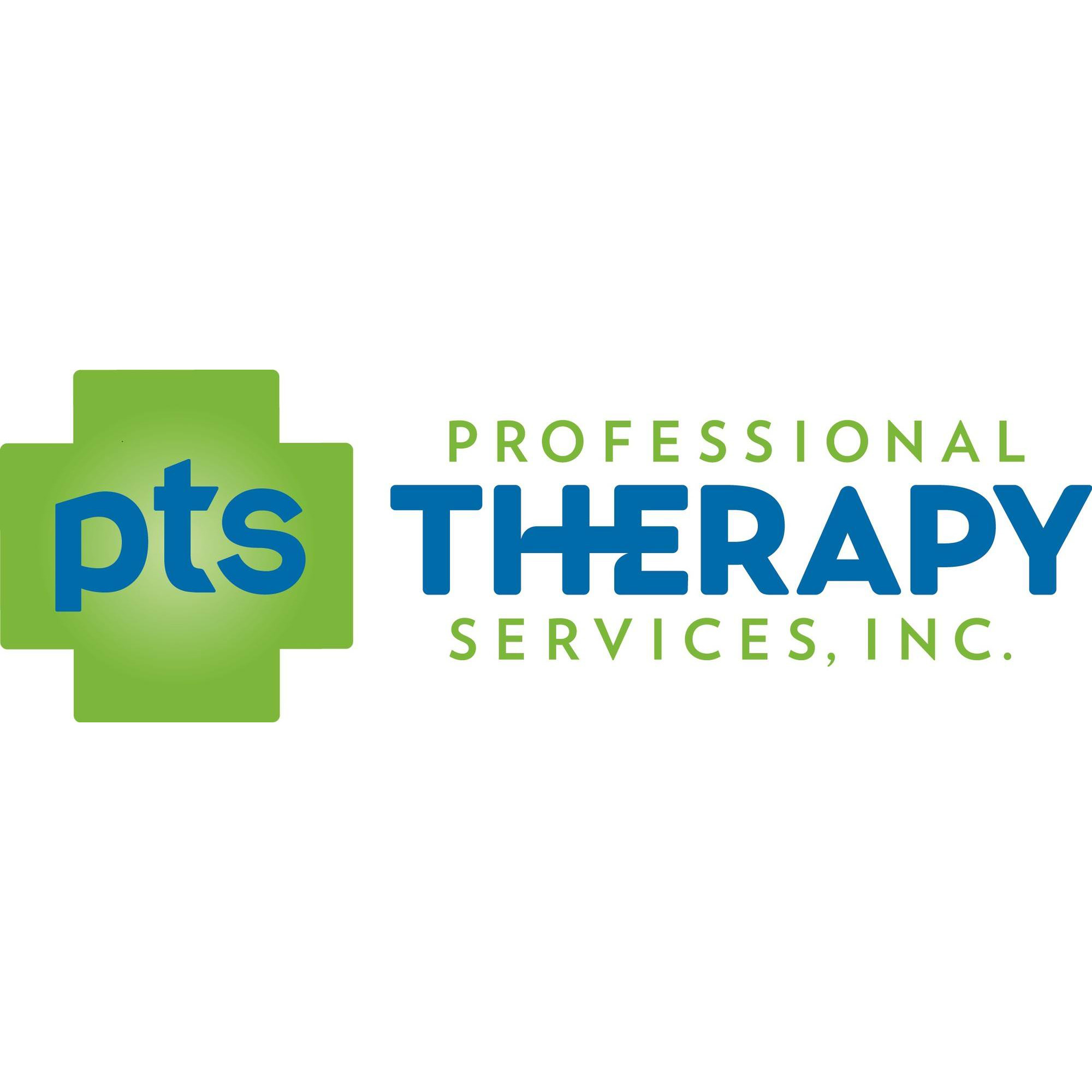 Professional Therapy Services