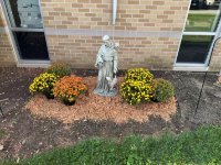 Laudato Si - More Than Just a Phrase